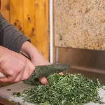 Casa Dos Cobertos Estalagem